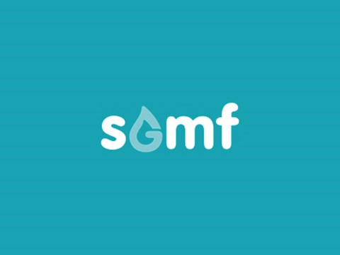 Society For Gas as a Marine Fuel (SGMF) launched as new Non-Governmental Organisation
